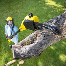 Best Sod Installation  in Bay Park, NY